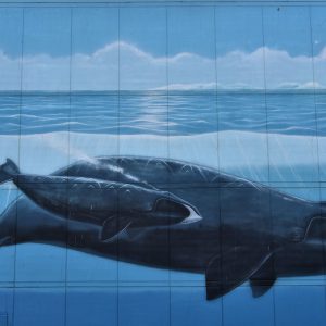Alaska’s Marine Life Mural by Wyland in Anchorage, Alaska - Encircle Photos