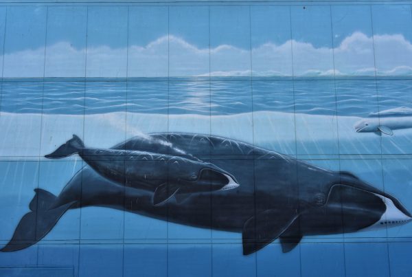 Alaska’s Marine Life Mural by Wyland in Anchorage, Alaska - Encircle Photos