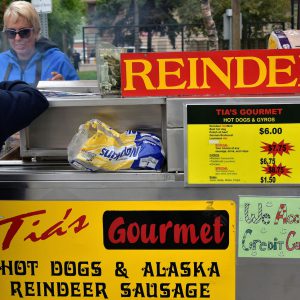 Lunch Cart Serving Reindeer in Anchorage, Alaska - Encircle Photos