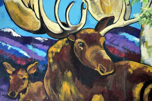 Moose Mural in Downtown Anchorage, Alaska - Encircle Photos