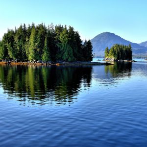 Bold Island in Revillagigedo Channel near Ketchikan, Alaska - Encircle Photos