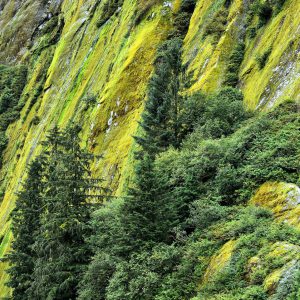 Granite Cliffs of Rudyerd Bay near Ketchikan, Alaska - Encircle Photos