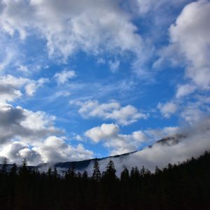 Punchbowl Cove at Misty Fjords near Ketchikan, Alaska - Encircle Photos