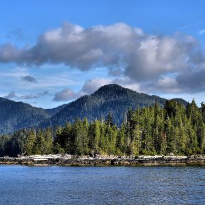 Revillagigedo Island Greenery near Ketchikan, Alaska - Encircle Photos