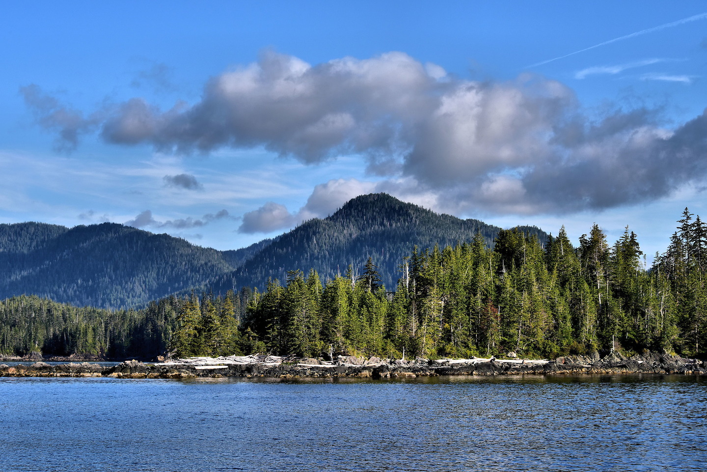 Revillagigedo Island Greenery near Ketchikan, Alaska Encircle Photos