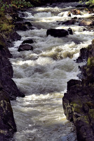 Rushing Ketchikan Creek in Ketchikan, Alaska - Encircle Photos