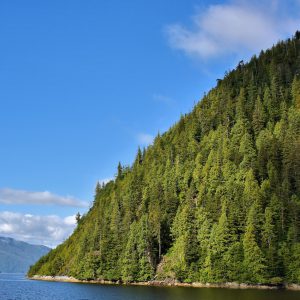 Smeaton Island in Tongass National Forest near Ketchikan, Alaska - Encircle Photos