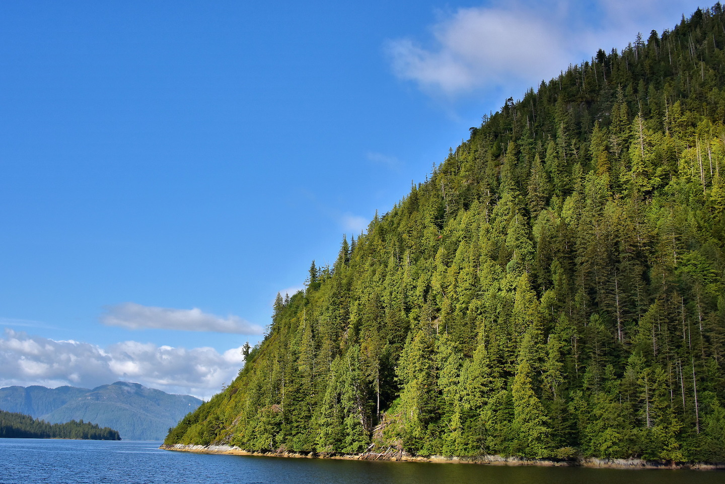 Smeaton Island in Tongass National Forest near Ketchikan, Alaska