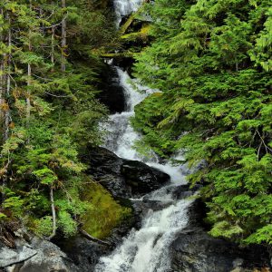 Waterfall at Misty Fjords near Ketchikan, Alaska - Encircle Photos