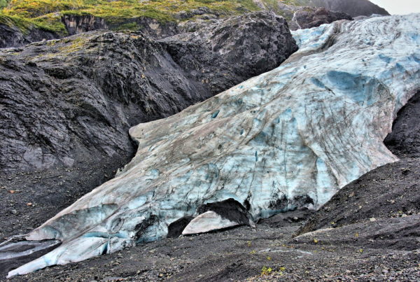Exit Glacier near Seward, Alaska - Encircle Photos