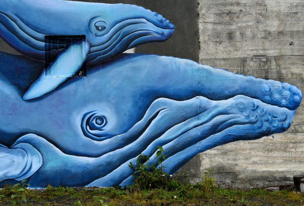 Seward Bound Whale Mural by Pechuzal and McElroy in Seward, Alaska - Encircle Photos