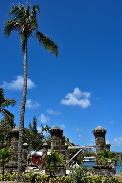 Nelson’s Dockyard Boat House Under Palm Tree in English Harbour, Antigua - Encircle Photos