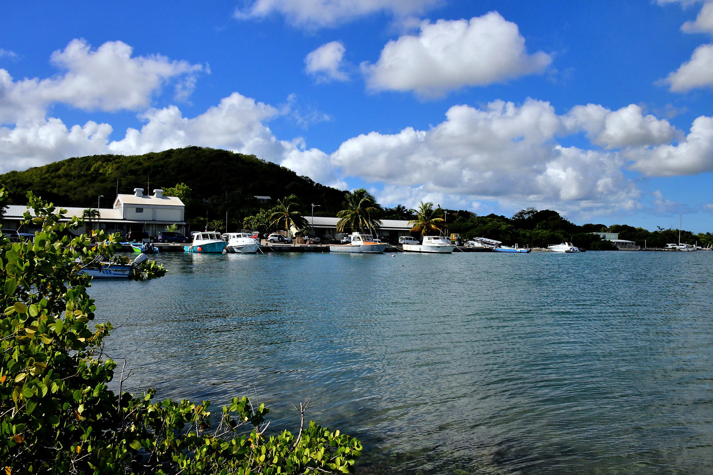 Parham Harbour in Parham, Antigua Encircle Photos