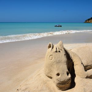 Horse Sand Sculpture at Dickenson Bay in St. John’s, Antigua - Encircle Photos