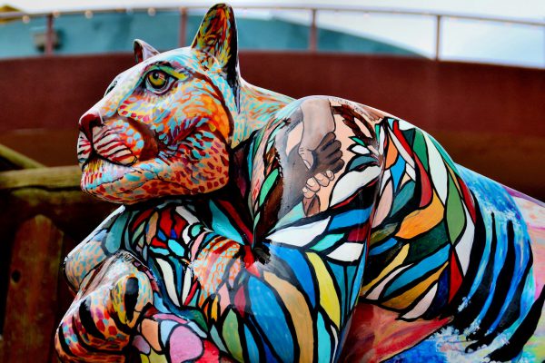 Painted Mountain Lion Sculpture from PAWS Project in Flagstaff, Arizona - Encircle Photos