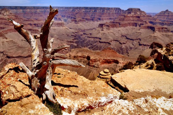 South Rim from Yavapai Point at Grand Canyon National Park in Arizona - Encircle Photos