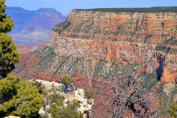 Visiting the Grand Canyon’s South Rim in Arizona - Encircle Photos