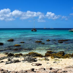 Snorkeling Sites in Noord District, Aruba - Encircle Photos