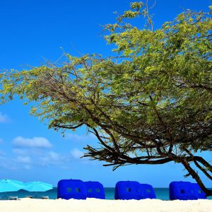 Umbrellas and Cabanas along Eagle Beach near Oranjestad, Aruba - Encircle Photos