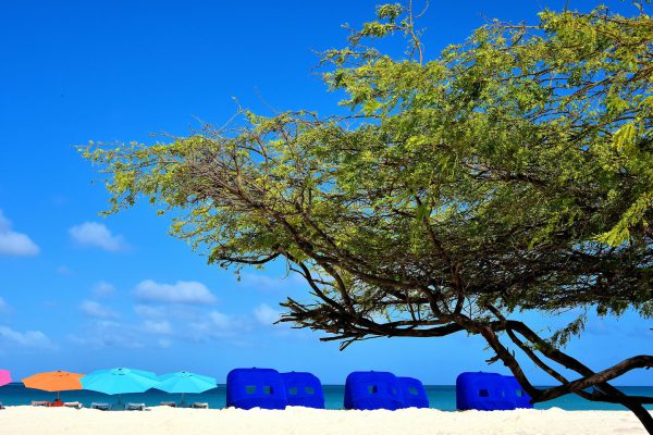 Umbrellas and Cabanas along Eagle Beach near Oranjestad, Aruba - Encircle Photos