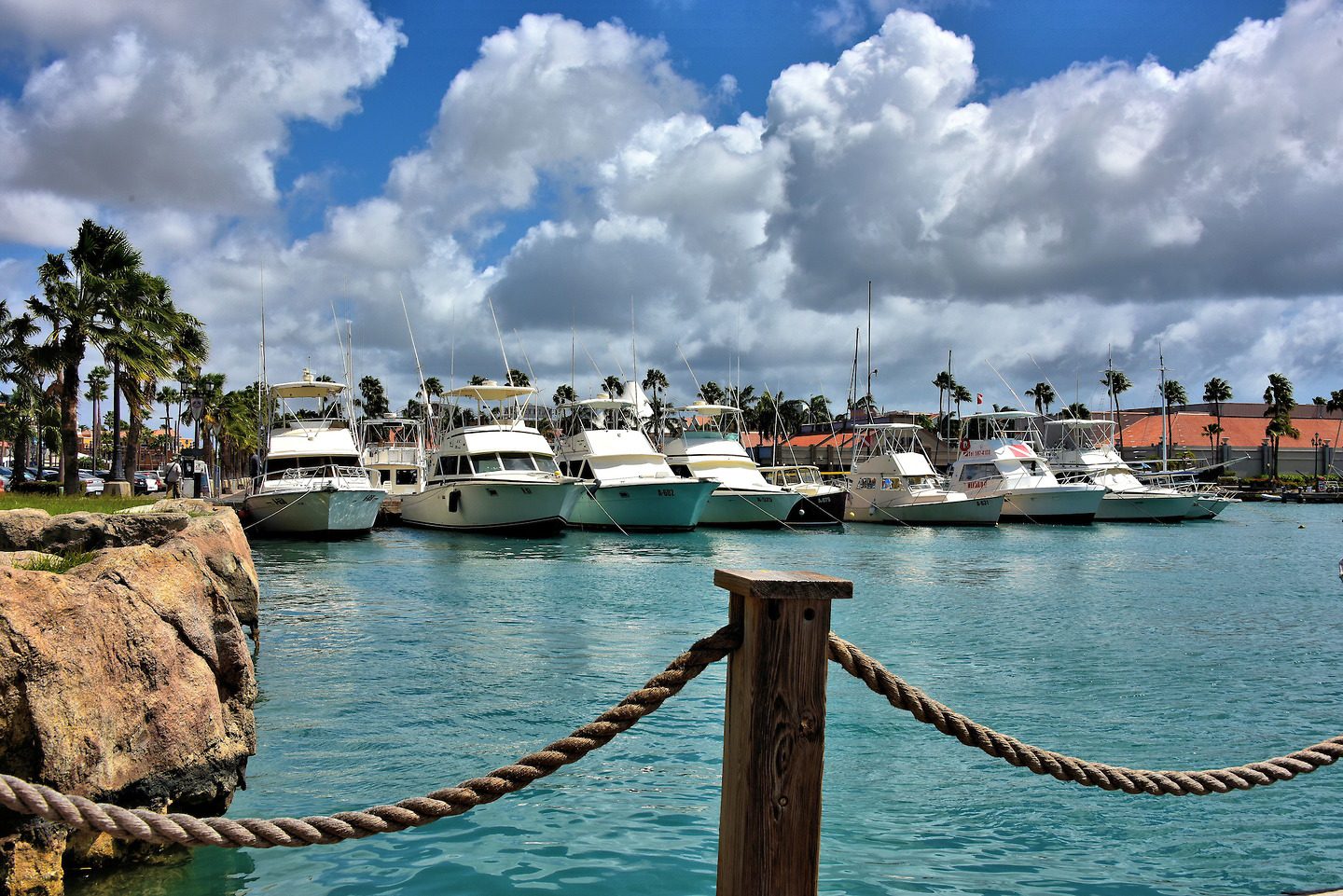 Fishing Charter Boats Docked at Seaport Marina in Oranjestad, Aruba - Encircle Photos