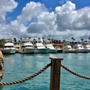 Fishing Charter Boats Docked at Seaport Marina in Oranjestad, Aruba - Encircle Photos