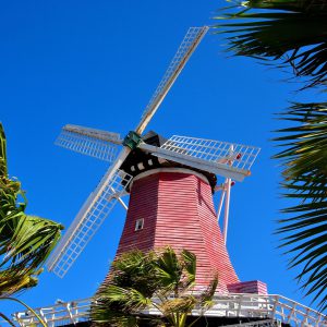 Old Dutch Windmill in Palm Beach District, Aruba - Encircle Photos
