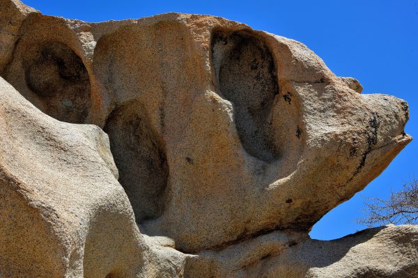 Bear Shaped Boulder at Ayo Rock Formation in Santa Cruz District, Aruba - Encircle Photos