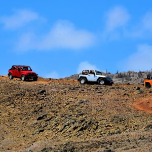 Jeep Caravan Excursion along North Shore in Santa Cruz District, Aruba - Encircle Photos