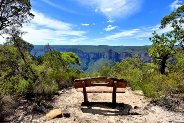Memorial Bench on Anvil Rock Trail near Blackheath in Blue Mountains, Australia - Encircle Photos