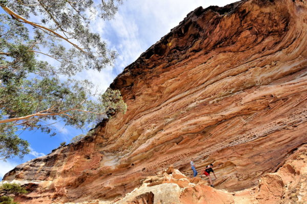 Wind Eroded Cave near Blackheath in Blue Mountains, Australia - Encircle Photos
