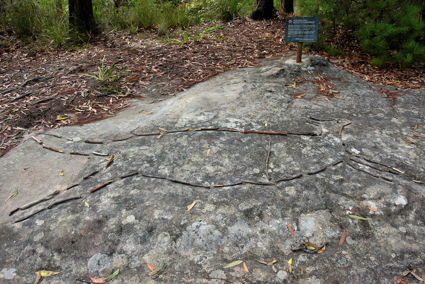 Aboriginal Rock Engraving in Lawson in Blue Mountains, Australia