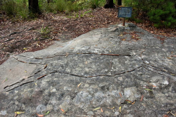 Aboriginal Rock Engraving in Lawson in Blue Mountains, Australia - Encircle Photos