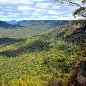 Gordon Falls Lookout in Leura in Blue Mountains, Australia - Encircle Photos