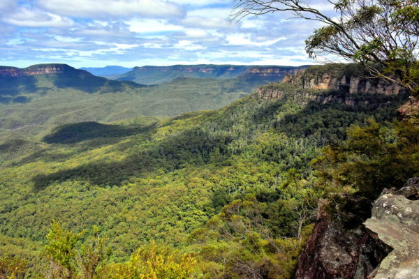 Gordon Falls Lookout in Leura in Blue Mountains, Australia - Encircle Photos