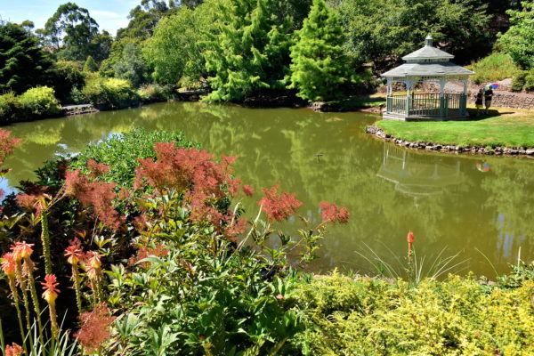 Lake Pearl at Emu Valley Rhododendron Garden near Burnie, Australia - Encircle Photos