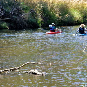 Kayakers at Fern Glade Reserve near Burnie, Australia - Encircle Photos
