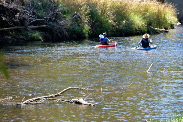 Kayakers at Fern Glade Reserve near Burnie, Australia - Encircle Photos