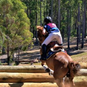 Fernpark Pony & Riding Club near Burnie, Australia - Encircle Photos