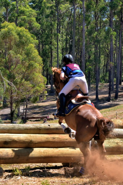 Fernpark Pony & Riding Club near Burnie, Australia - Encircle Photos