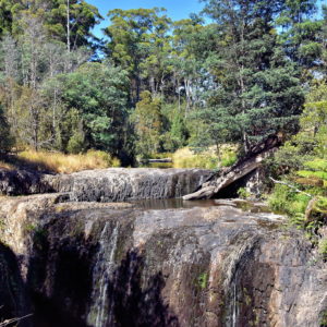Guide Falls Waterfall and Trail near Burnie, Australia - Encircle Photos