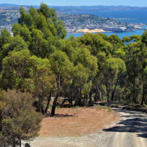 Western View from Round Hill Lookout near Burnie, Australia - Encircle Photos