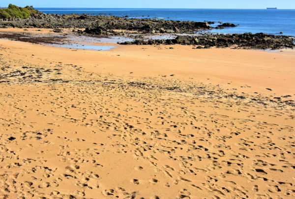 West Beach in Burnie, Australia - Encircle Photos