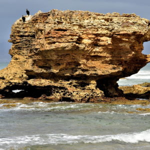 Table Rock at Aireys Inlet Beach on Great Ocean Road, Australia - Encircle Photos