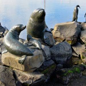Heading South Sculpture along Franklin Wharf in Hobart, Australia - Encircle Photos