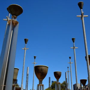 Federation Bells in Melbourne, Australia - Encircle Photos