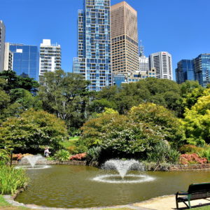 Treasury Gardens in Melbourne, Australia - Encircle Photos