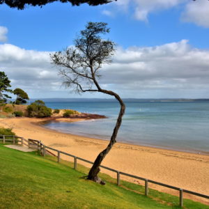 Cowes Beach in Cowes on Phillip Island, Australia - Encircle Photos