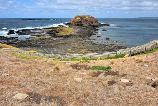 Nobbies and Penguin Shelters at Nobbies on Summerland Peninsula on Phillip Island, Australia - Encircle Photos