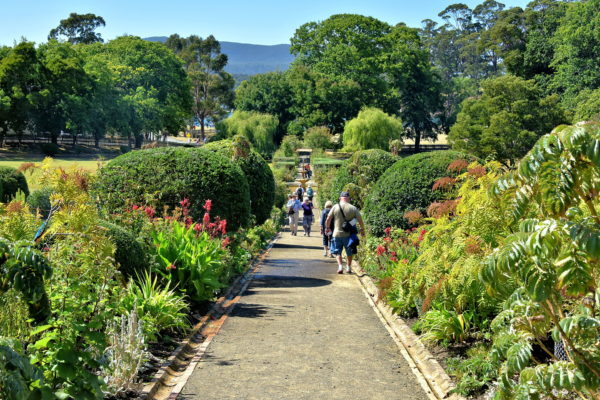 Government Gardens at Port Arthur, Australia - Encircle Photos